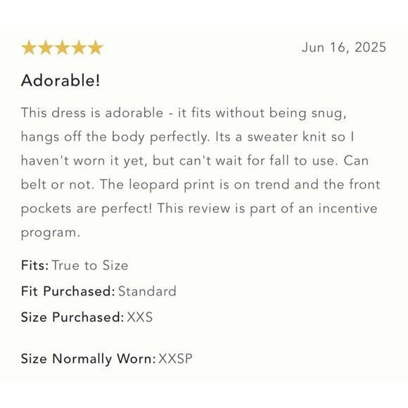 NWT Anthropologie Maeve Strawberry Dress - Picture 11 of 16